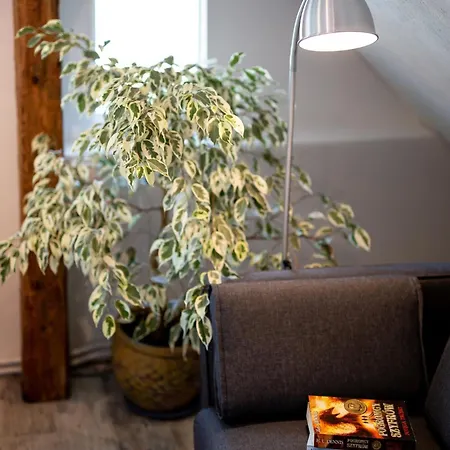 Apartment Apartament Mragowo Mragowo